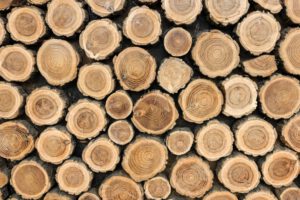 Najpopularniejsze drewno na meble